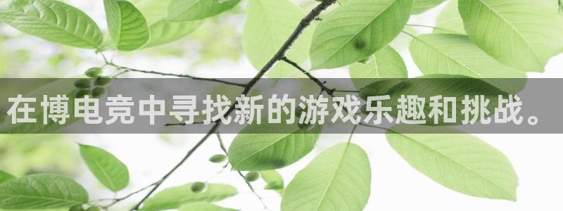 db电竞官网入口