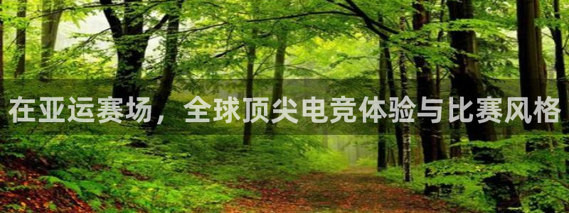 db电竞是雷火电竞吗知乎：在亚运赛场，全球顶尖电竞体验与比赛风格