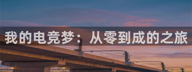 db电竞官网入口：我的电竞梦：从零到成的之旅