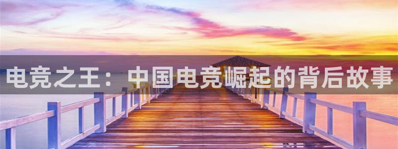 db电竞\'：电竞之王：中国电竞崛起的背后故事