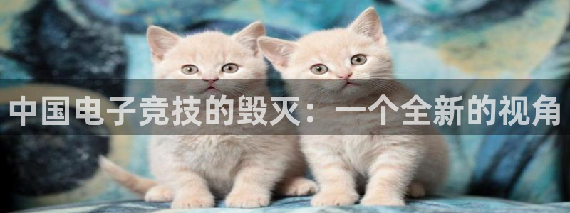db电竞平台：中国电子竞技的毁灭：一个全新的视角